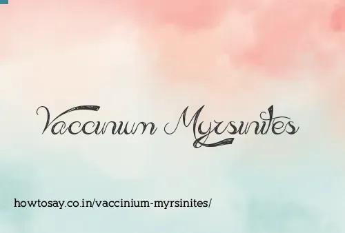 Vaccinium Myrsinites