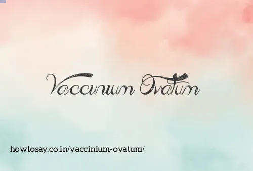 Vaccinium Ovatum