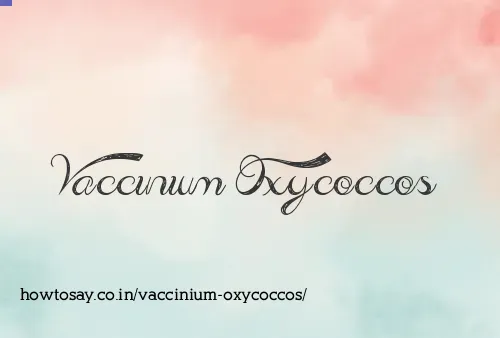 Vaccinium Oxycoccos