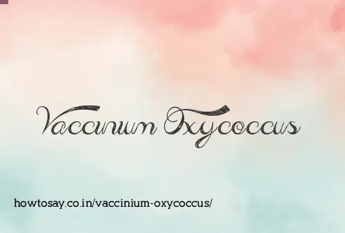 Vaccinium Oxycoccus