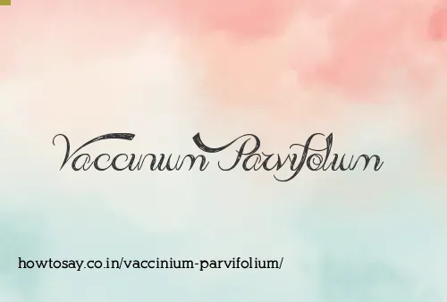 Vaccinium Parvifolium