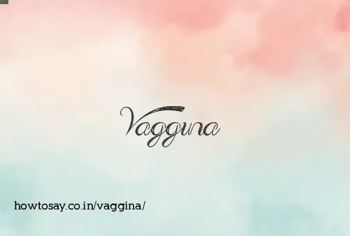 Vaggina