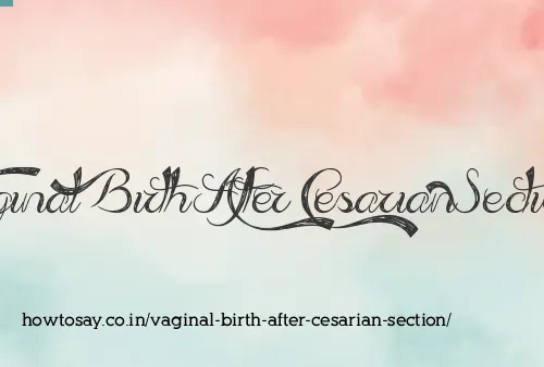 Vaginal Birth After Cesarian Section