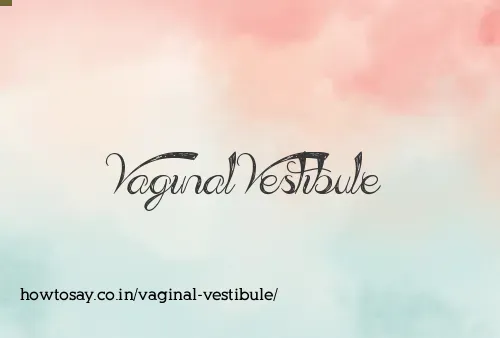 Vaginal Vestibule