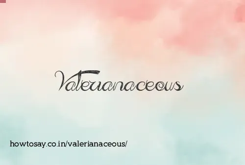 Valerianaceous