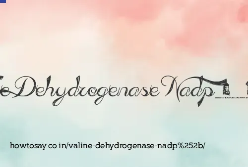 Valine Dehydrogenase Nadp-