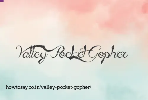 Valley Pocket Gopher