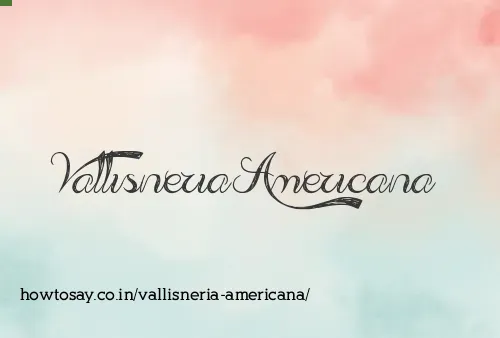Vallisneria Americana