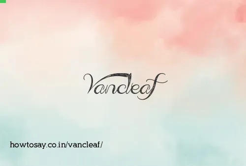 Vancleaf