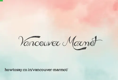 Vancouver Marmot