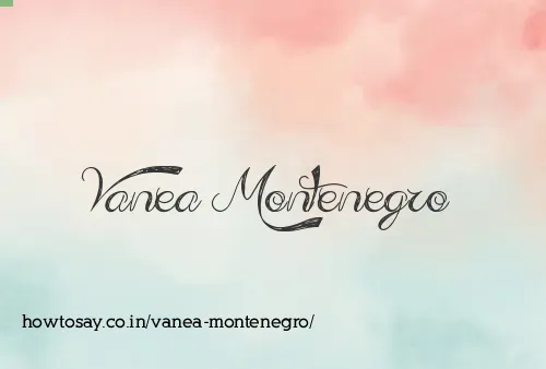 Vanea Montenegro