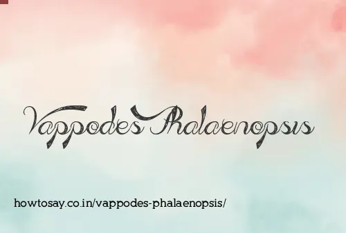 Vappodes Phalaenopsis