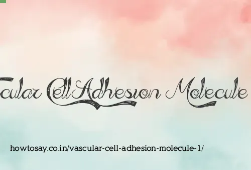 Vascular Cell Adhesion Molecule 1