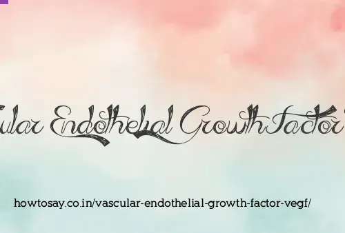 Vascular Endothelial Growth Factor Vegf