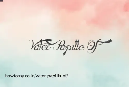 Vater Papilla Of