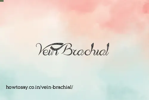 Vein Brachial