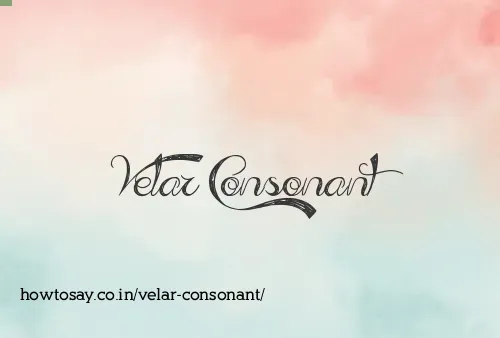 Velar Consonant