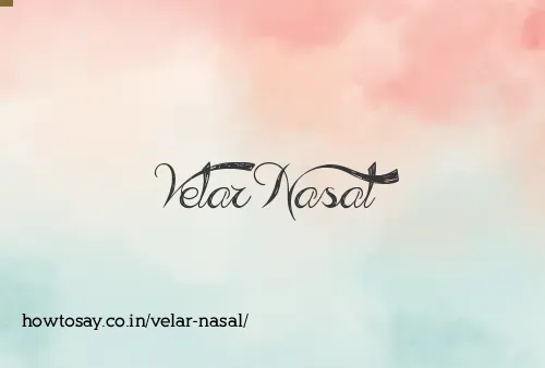 Velar Nasal