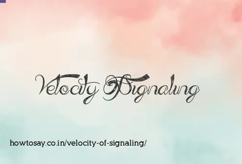 Velocity Of Signaling