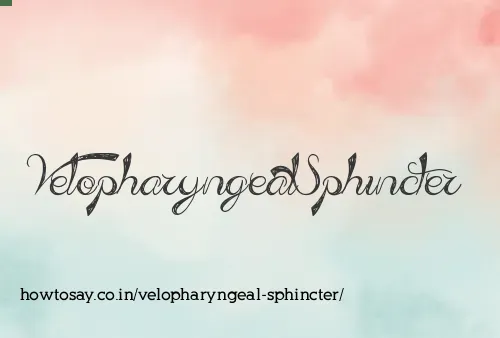 Velopharyngeal Sphincter