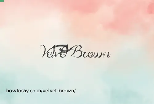 Velvet Brown