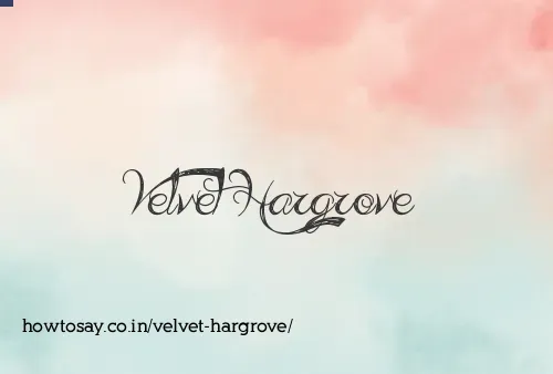 Velvet Hargrove