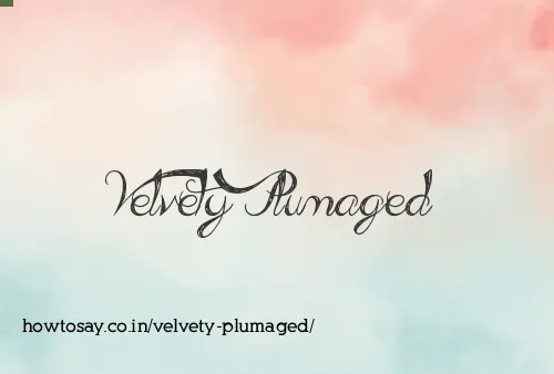 Velvety Plumaged