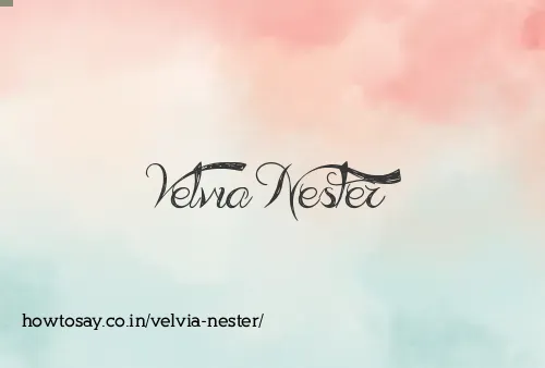 Velvia Nester