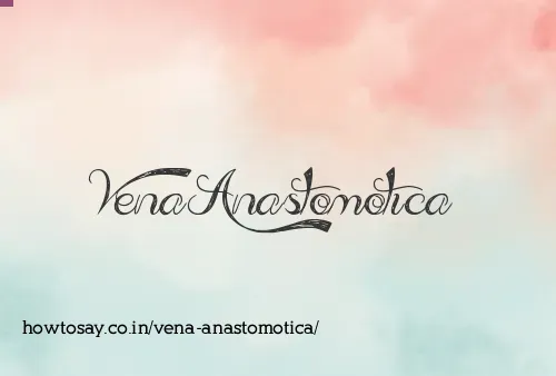 Vena Anastomotica