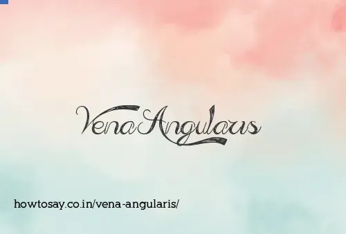 Vena Angularis