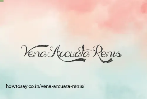 Vena Arcuata Renis