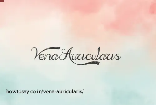 Vena Auricularis