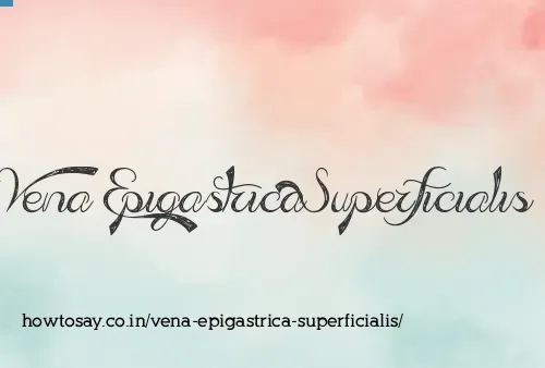 Vena Epigastrica Superficialis