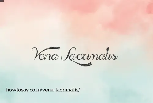 Vena Lacrimalis