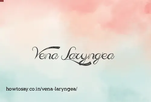 Vena Laryngea