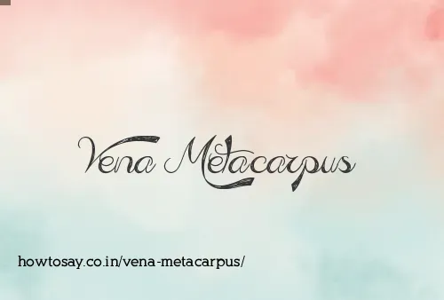 Vena Metacarpus