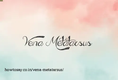 Vena Metatarsus
