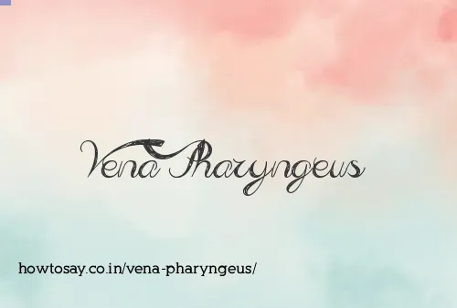 Vena Pharyngeus