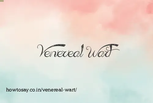 Venereal Wart