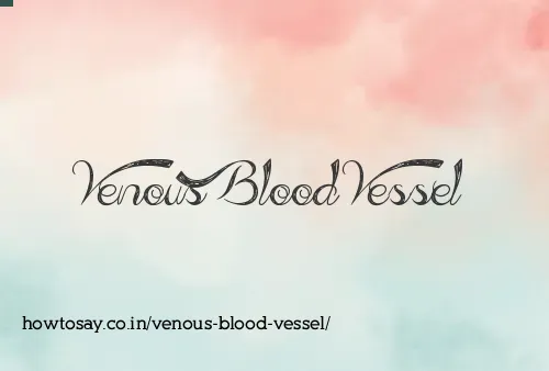 Venous Blood Vessel