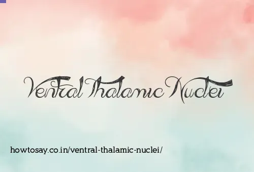 Ventral Thalamic Nuclei