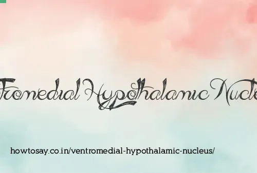 Ventromedial Hypothalamic Nucleus
