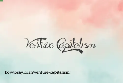 Venture Capitalism