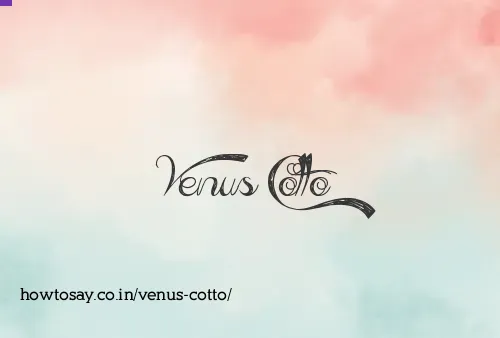 Venus Cotto