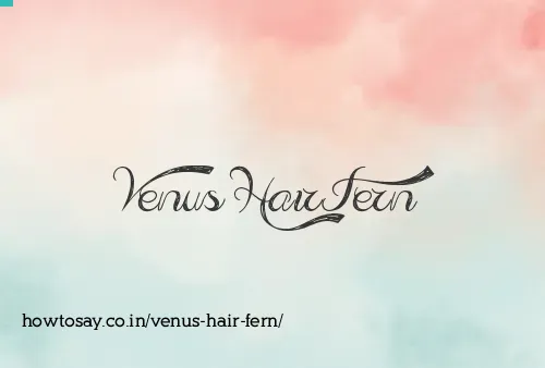 Venus Hair Fern