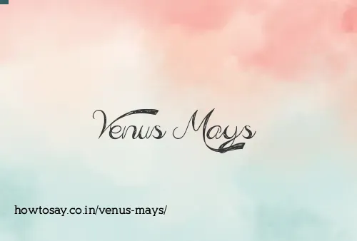 Venus Mays