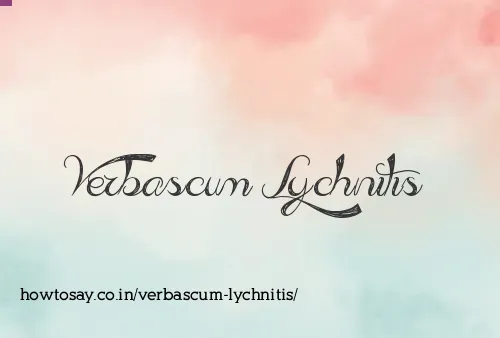 Verbascum Lychnitis