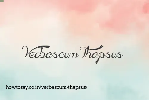 Verbascum Thapsus