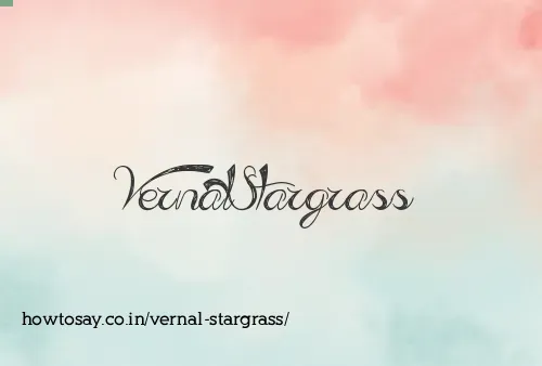 Vernal Stargrass