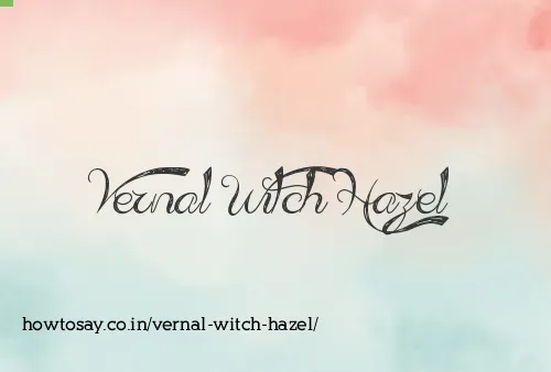 Vernal Witch Hazel